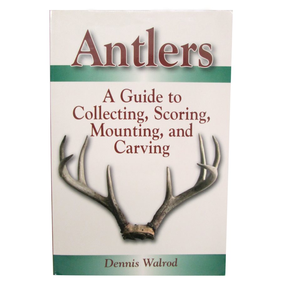 Antlers A Guide