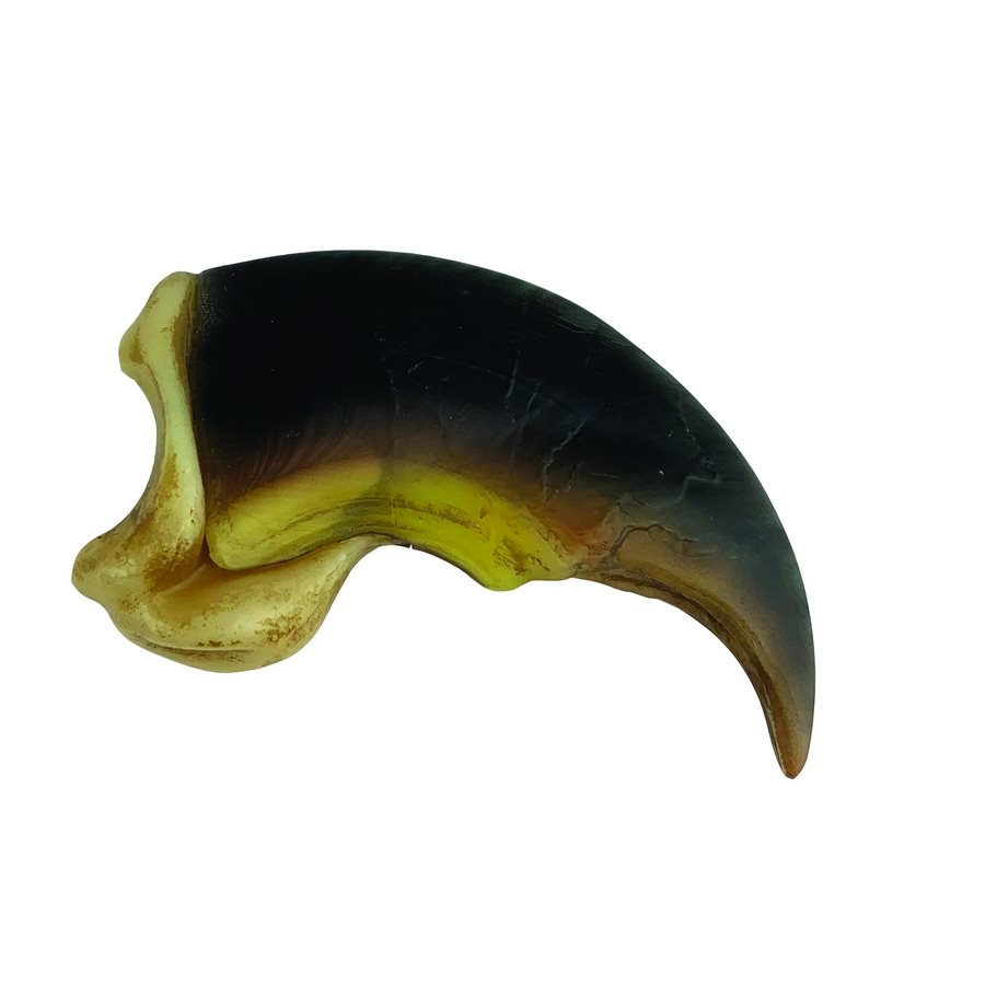 Polar Bear Claw Replica (3 1/8")