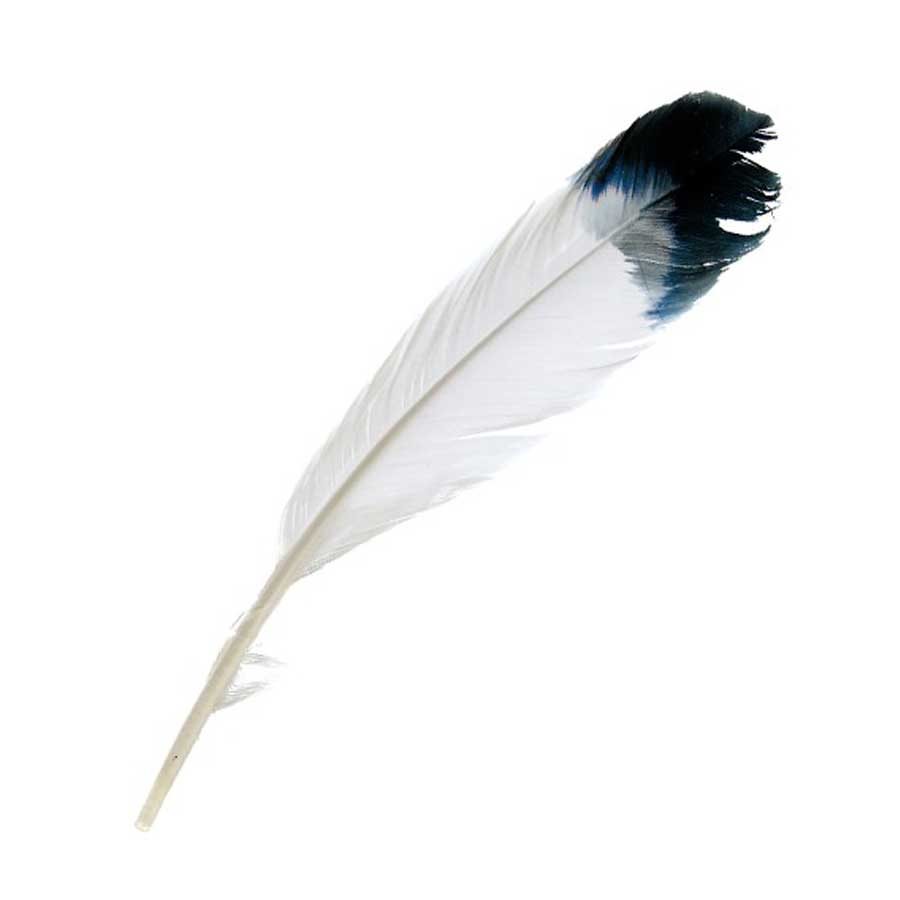 Imitation Eagle Feathers Black Tip