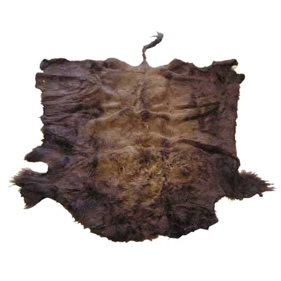 Buffalo Robes 1
