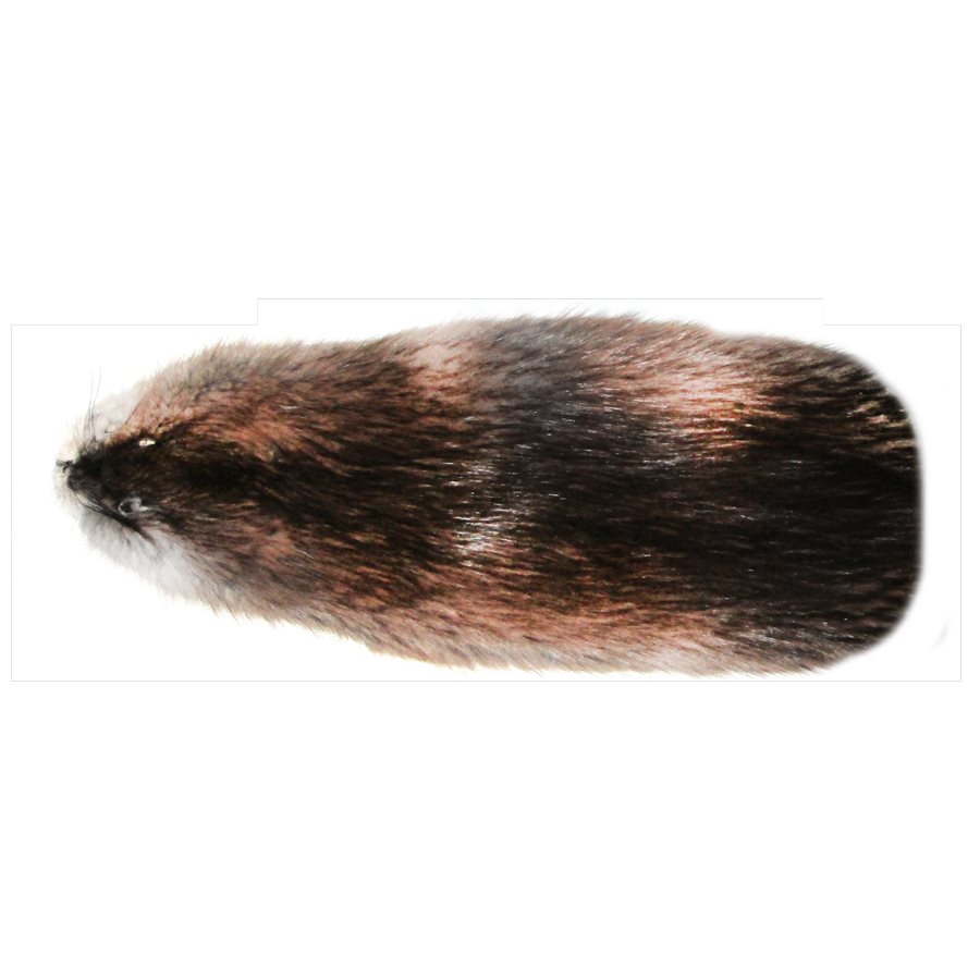 2 Muskrat Fur