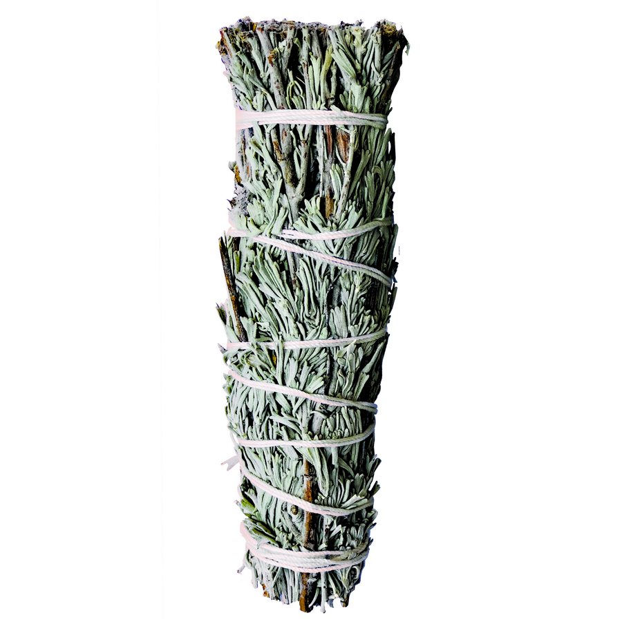Mini Sage Brush Bundle 3"