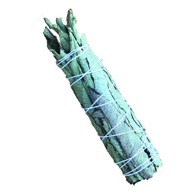 Mini Yerba Santa Bundle 3"